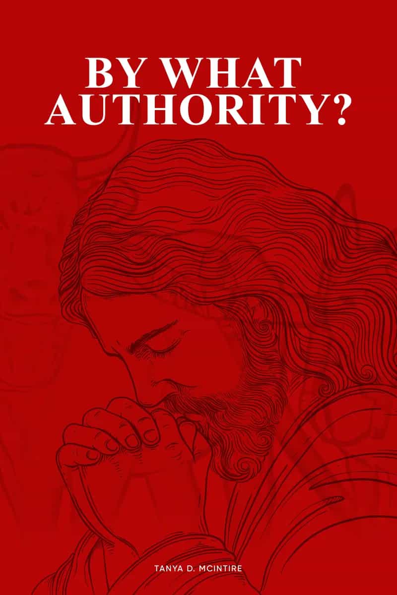 Tanya D. McIntire book cover